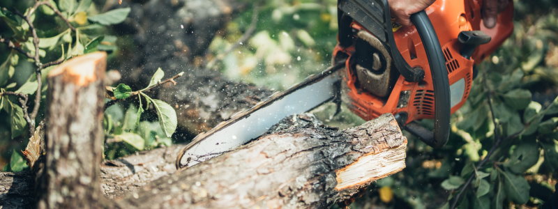 Chainsaws featured image